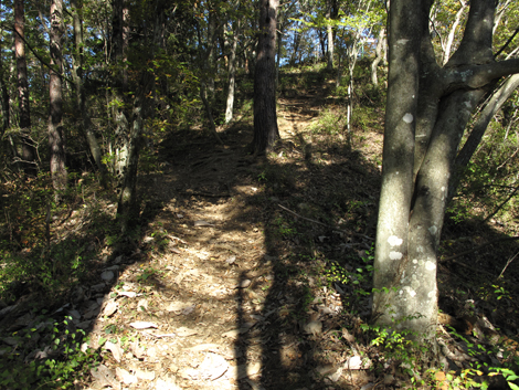 20161104hike (106)